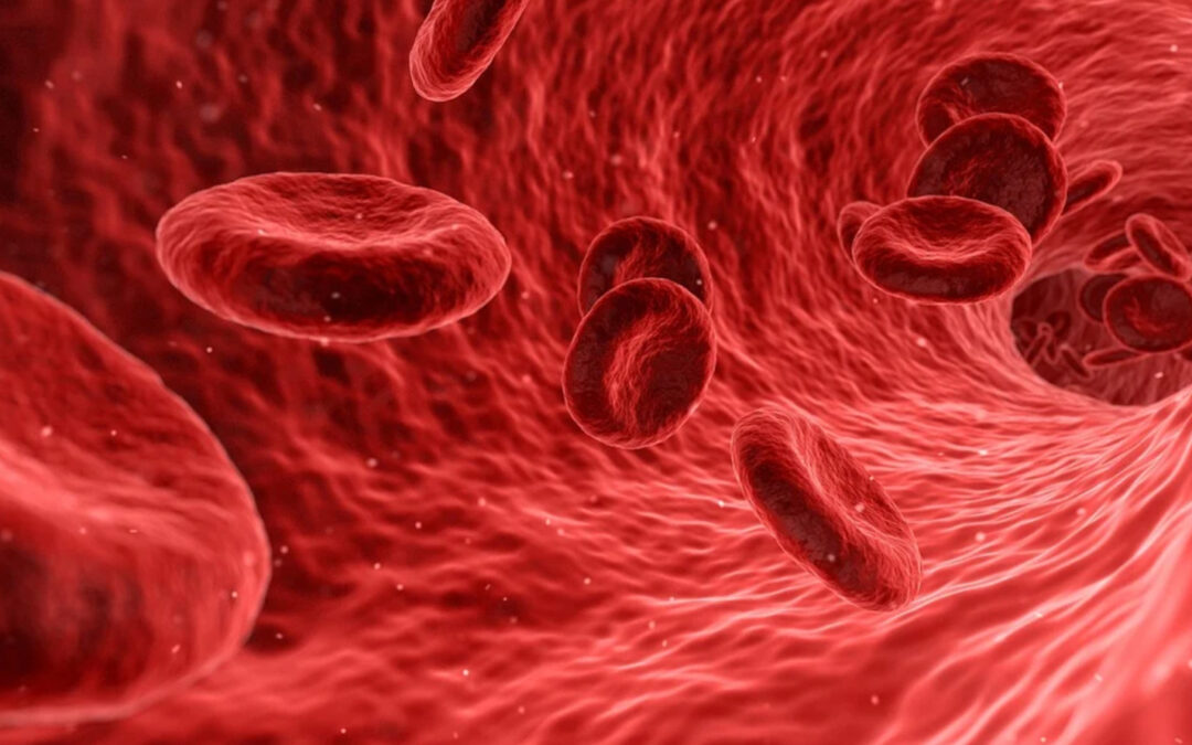 Types of blood disorders