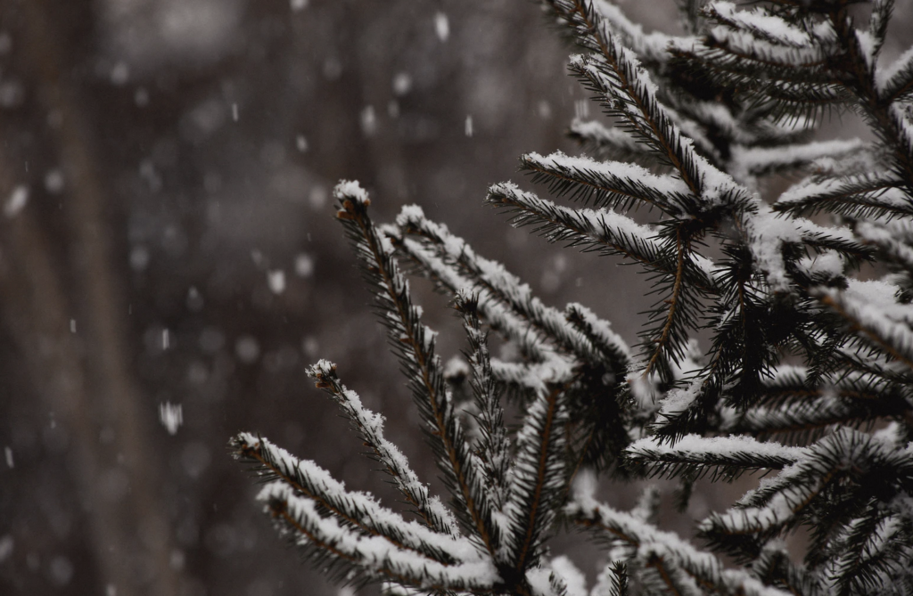 Livonia MI, Pharmacy Compounding 1
