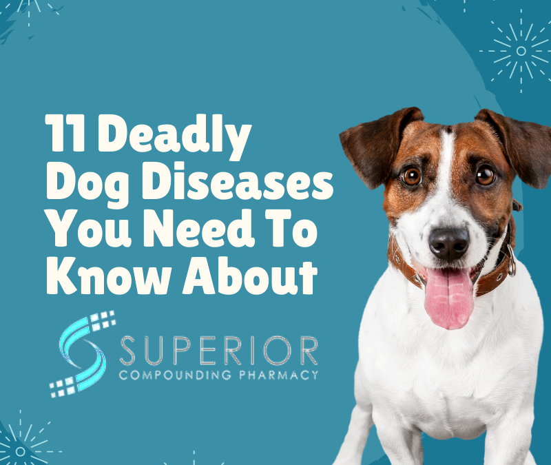 11 Deadly Dog Diseases
